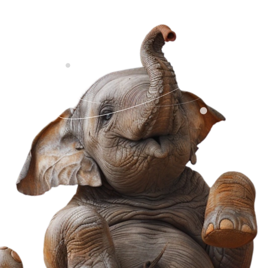 Kleiner, verspielter Elefant mit erhobenem Rüssel und ausgestrecktem Bein, wirkt freudig und ausgelassen auf orangefarbenem Hintergrund